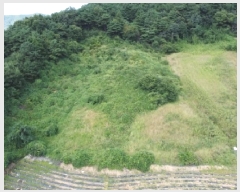  2025Ÿ��51649 ��� ������ ��ܸ� �鼮�� 8-18      ����(��1)���