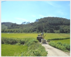  2025Ÿ��51669  ����