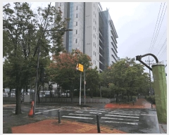  2025Ÿ��51805 ��� û�ֽ� ������ ���� 1425 ����Ÿ�� 4��414ȣ    ����Ʈ���