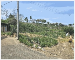  2025Ÿ2555  õ  ȭ 222-4      ()