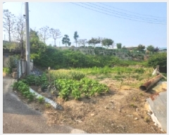  2025Ÿ2555  õ  ȭ 222-4      ()