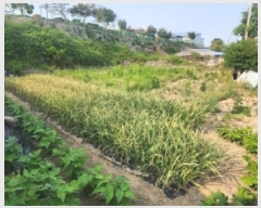  2025Ÿ2555  õ  ȭ 222-4      ()