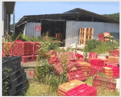  2025Ÿ2609   θ  207      ,â