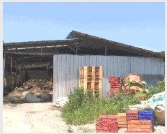  2025Ÿ2609   θ  207      ,â