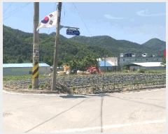  2025Ÿ2609   θ  207      ,â