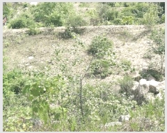  2025Ÿ��2647  �Ӿ߰��