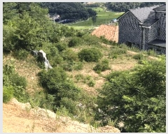  2025Ÿ��2647  �Ӿ߰��