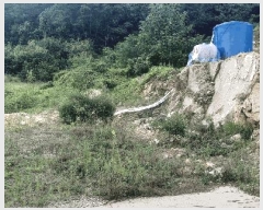  2025Ÿ��2647  �Ӿ߰��