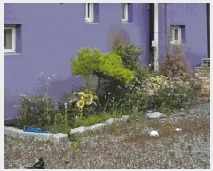  2025Ÿ��2852 ��� ���걺 ûõ�� ȭ�縮 190-1      ���(ķ����)���