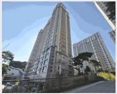  2025Ÿ3183  ûֽ 籸 ϵ 3163 ûֵĶƮ 501 13 1302ȣ  Ʈ