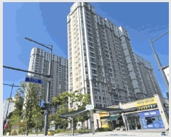  2025Ÿ3183  ûֽ 籸 ϵ 3163 ûֵĶƮ 501 13 1302ȣ  Ʈ