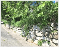  2025Ÿ��4612 ��� ���걺 û�ȸ� �ݽŸ� 277      ���ð��