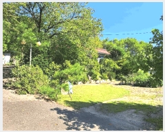  2025Ÿ��4612 ��� ���걺 û�ȸ� �ݽŸ� 277      ���ð��