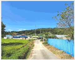  2025Ÿ��4612 ��� ���걺 û�ȸ� �ݽŸ� 277      ���ð��