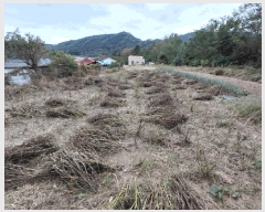  2025Ÿ��4643 ��� ������ ������ ��ϸ� 140      ����(��1)���