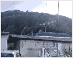  2025Ÿ��4872 ��� ���걺 ������ ������ 202-1      ���ð��