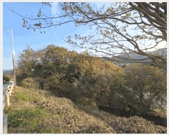  2025Ÿ��4964  â�����