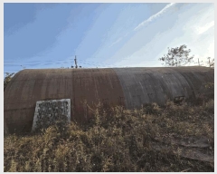  2025Ÿ��4964  â�����