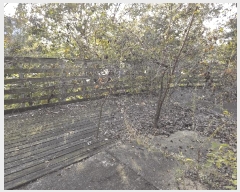  2025Ÿ��4964  â�����