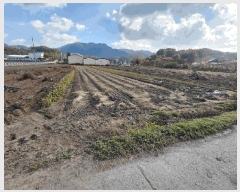  2025Ÿ��5226 ��� ���걺 ������ ������ 254      ����(��)���