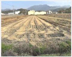  2025Ÿ��5226 ��� ���걺 ������ ������ 254      ����(��)���