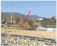  2025Ÿ��5547  ���ð��