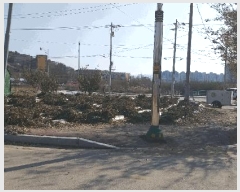  2025Ÿ��5547  ���ð��