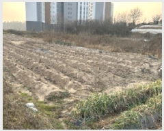  2025Ÿ��5639  �����