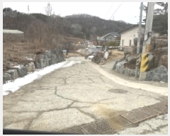  2025Ÿ��6069 ��� û�ֽ� ������ ���̸� ���븮 ��29     ����(�Ӿ�)���