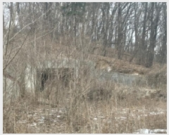  2025Ÿ��6069 ��� û�ֽ� ������ ���̸� ���븮 ��29     ����(�Ӿ�)���