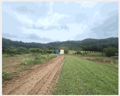  2025Ÿ51047  õ  ۸ 11-1      (Ӿ)