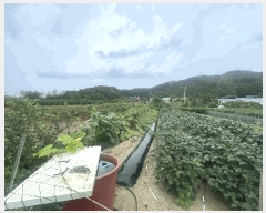  2025Ÿ51047  õ  ۸ 11-1      (Ӿ)