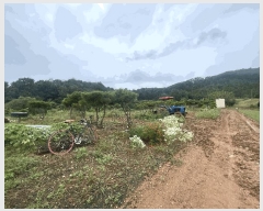  2025Ÿ51047  õ  ۸ 11-1      (Ӿ)