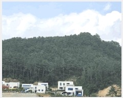  2025Ÿ51269  ûֽ  ̸  26-70     (Ӿ)