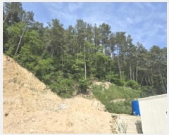  2025Ÿ51269  ûֽ  ̸  26-70     (Ӿ)