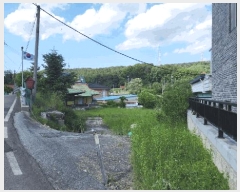  2025Ÿ51297  ûֽ    53-1     ð