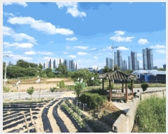  2025Ÿ51297  ûֽ    53-1     ð