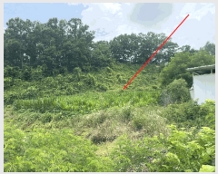  2025Ÿ51300  ûֽ   ް踮 220-2     (1)