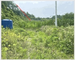  2025Ÿ51300  ûֽ   ް踮 220-2     (1)