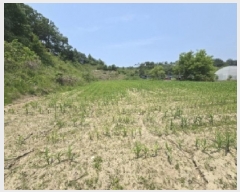  2025Ÿ51300  ûֽ   ް踮 220-2     (1)