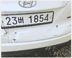  2025Ÿ51338 ûֽ  ö62 12(强 50-1, ȭ)     