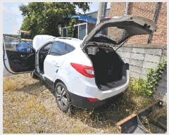  2025Ÿ51338 ûֽ  ö62 12(强 50-1, ȭ)     