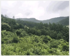  2025Ÿ51360  ûֽ 籸  ȣ 566     (1)