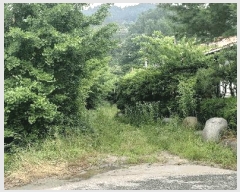  2025Ÿ51360  ûֽ 籸  ȣ 566     (1)