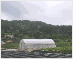  2025Ÿ51360  ûֽ 籸  ȣ 566     (1)