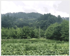  2025Ÿ51360  ûֽ 籸  ȣ 566     (1)