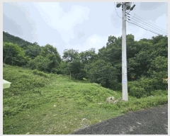  2025Ÿ��51457 ��� ��õ�� ���� ������ ��7      ����(�Ӿ�)���