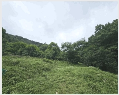  2025Ÿ��51457 ��� ��õ�� ���� ������ ��7      ����(�Ӿ�)���