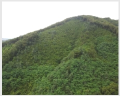  2025Ÿ��51457 ��� ��õ�� ���� ������ ��7      ����(�Ӿ�)���