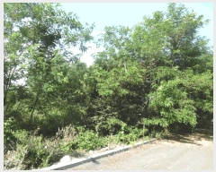  2025Ÿ��51467  �Ӿ߰��